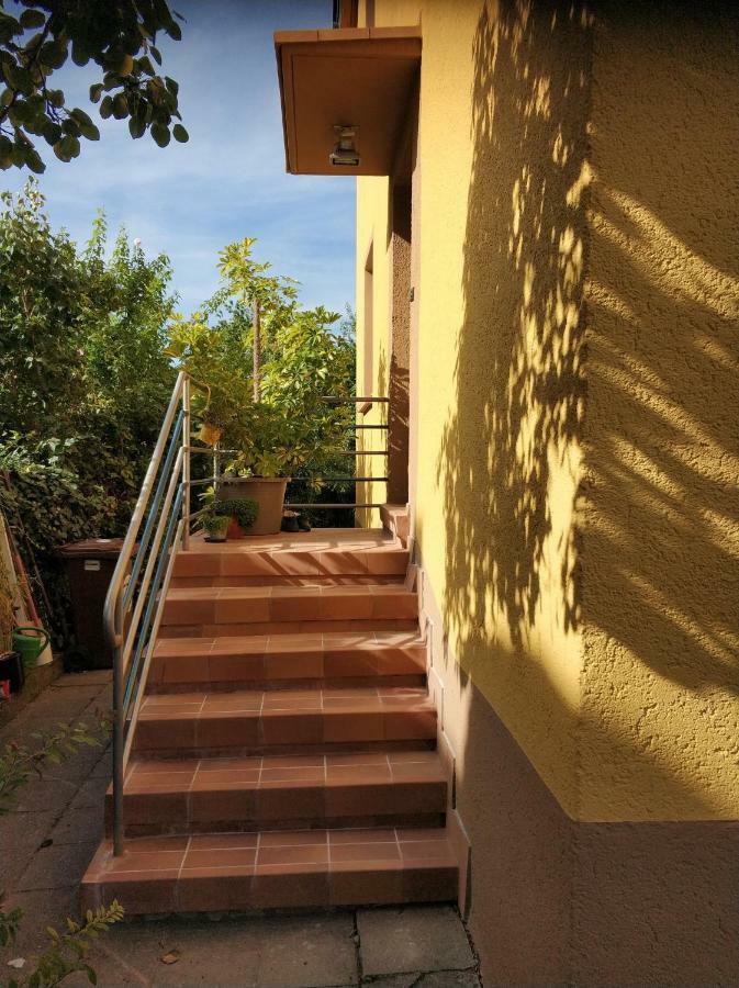 Lovely Studio In Cannstatt Штутгарт Екстер'єр фото